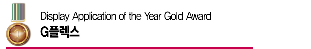 Display Application of the Year Gold Award – G플렉스