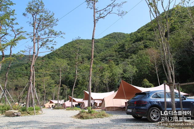 LG디스플레이 가족 캠핑 페스티벌 - 캠핑장 전경