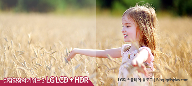 lg displayLG디플_블로그컨텐츠HDR03 (1)-002