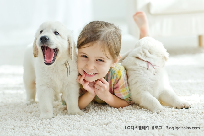 Kid with puppies at home