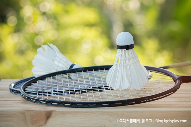 shuttlecocks on racket for a badminton on wood background, light green, outdoor background