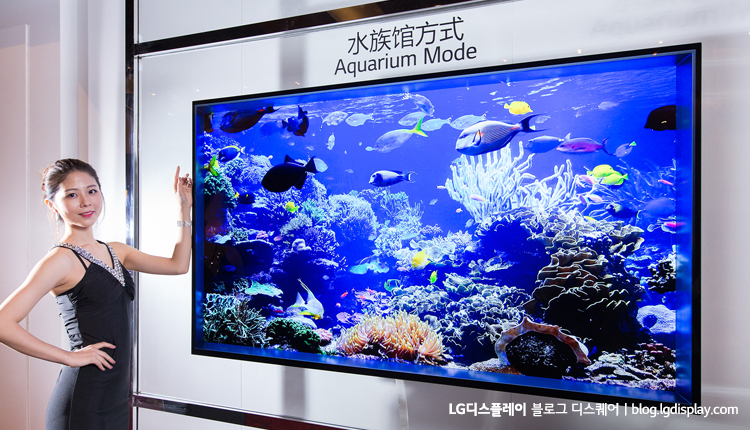 그림이나 사진을 전시하는 실내 인테리어 용도로도 활용되는 65인치 UHD OLED TV