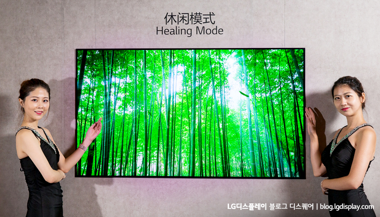 그림이나 사진을 전시하는 실내 인테리어 용도로도 활용되는 65인치 UHD OLED TV