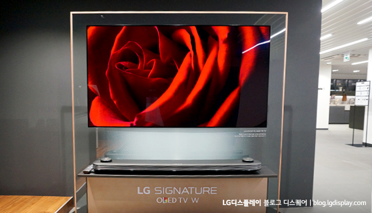 완벽한 HDR로 실제 같은 화질을 재현하는 LG시그니처 OLED TV W
