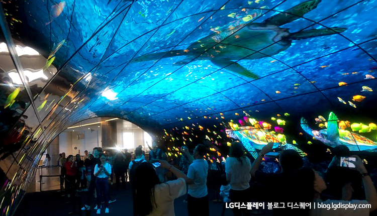 실제 아쿠아리움에 버금가는 생생함을 제공하는 OLED 터널