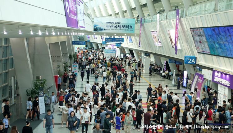 올해는 6월 7일부터 17일까지 12일간 62만 명의 관람객이 부산국제모터쇼를 방문했다