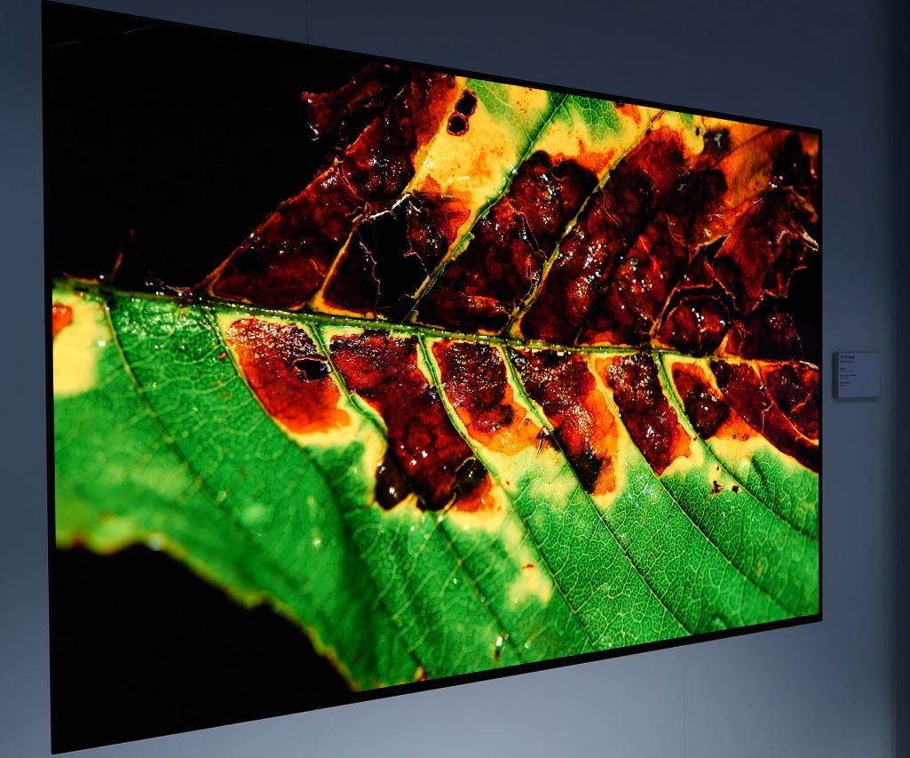 [CES 2023] 66-inch 4K OLED META Technology